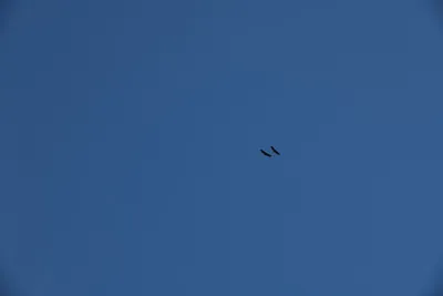 DSC_0274 (Large).JPG